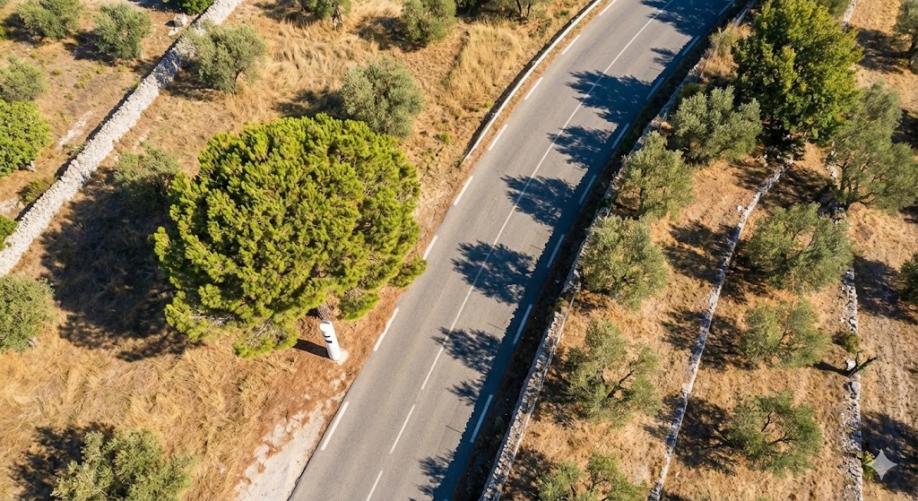 saint-paul-de-vence radar installé rd336, radar vence cagnes-sur-mer, radar tourelle alpes-maritimes, limitation vitesse saint-paul-de-vence, contrôle routier côte d'azur, amende excès vitesse 06, carte radar nice.